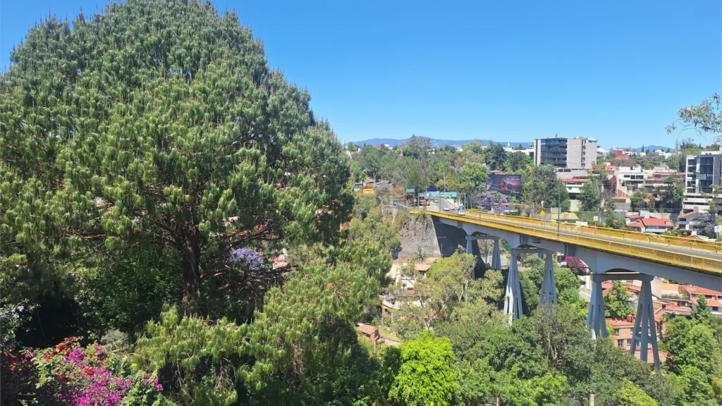Window view from executive suite in Lomas de Chapultepec