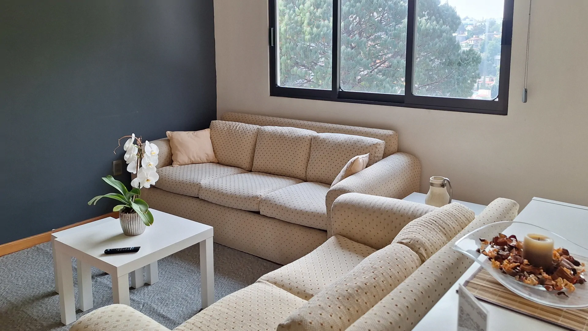 Living room executive suite Lomas de Chapultepec